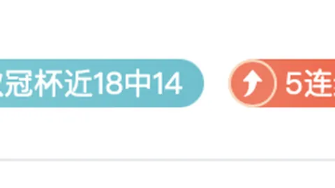 篮球对决终极指南：神秘人大战梦想之战